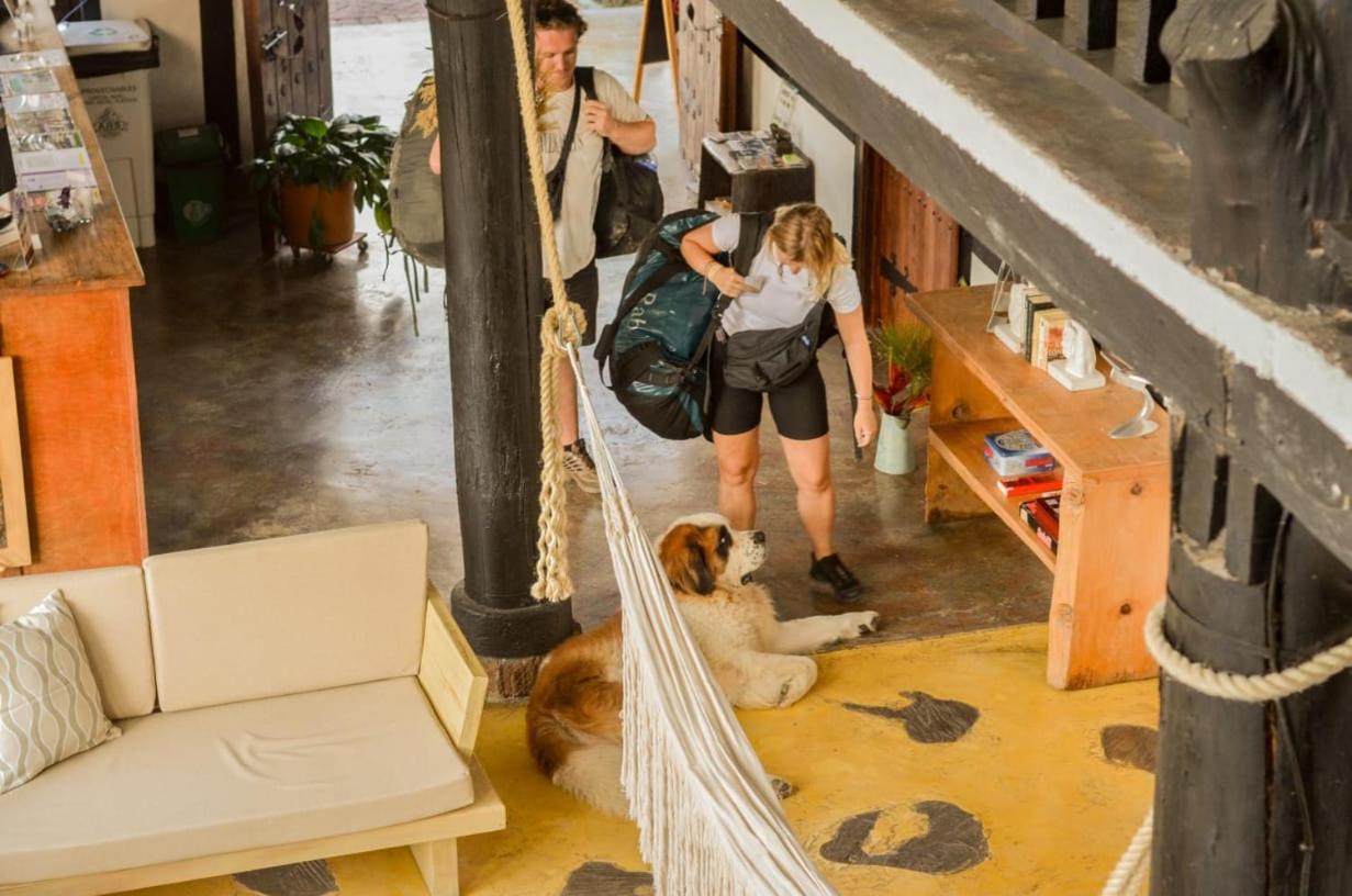Coffee Tree Boutique Hostel Salento Exterior foto